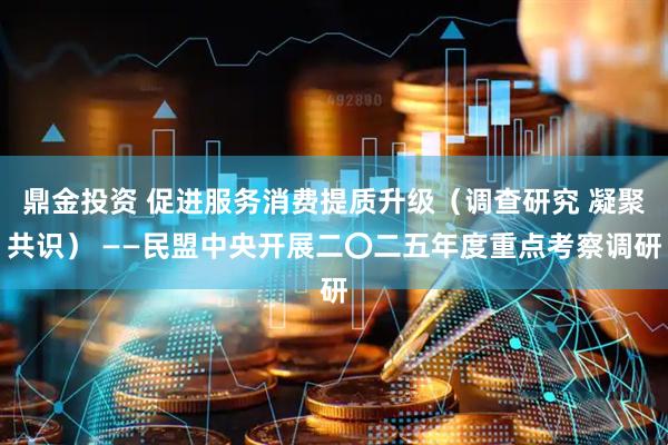 鼎金投资 促进服务消费提质升级（调查研究 凝聚共识） ——民盟中央开展二〇二五年度重点考察调研