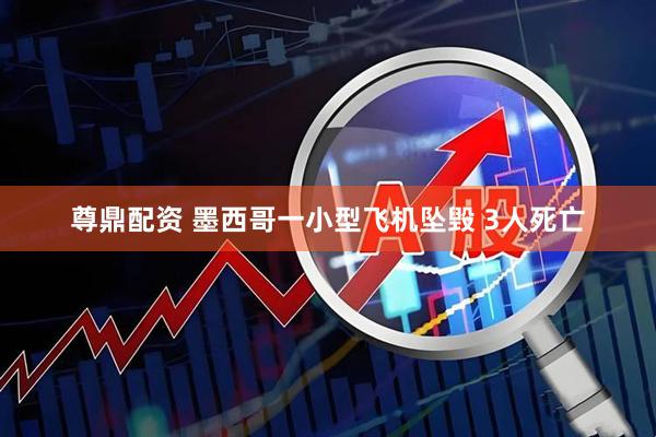 尊鼎配资 墨西哥一小型飞机坠毁 3人死亡