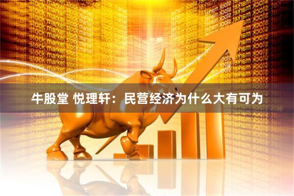 牛股堂 悦理轩：民营经济为什么大有可为