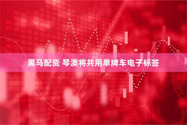 黑马配资 琴澳将共用单牌车电子标签